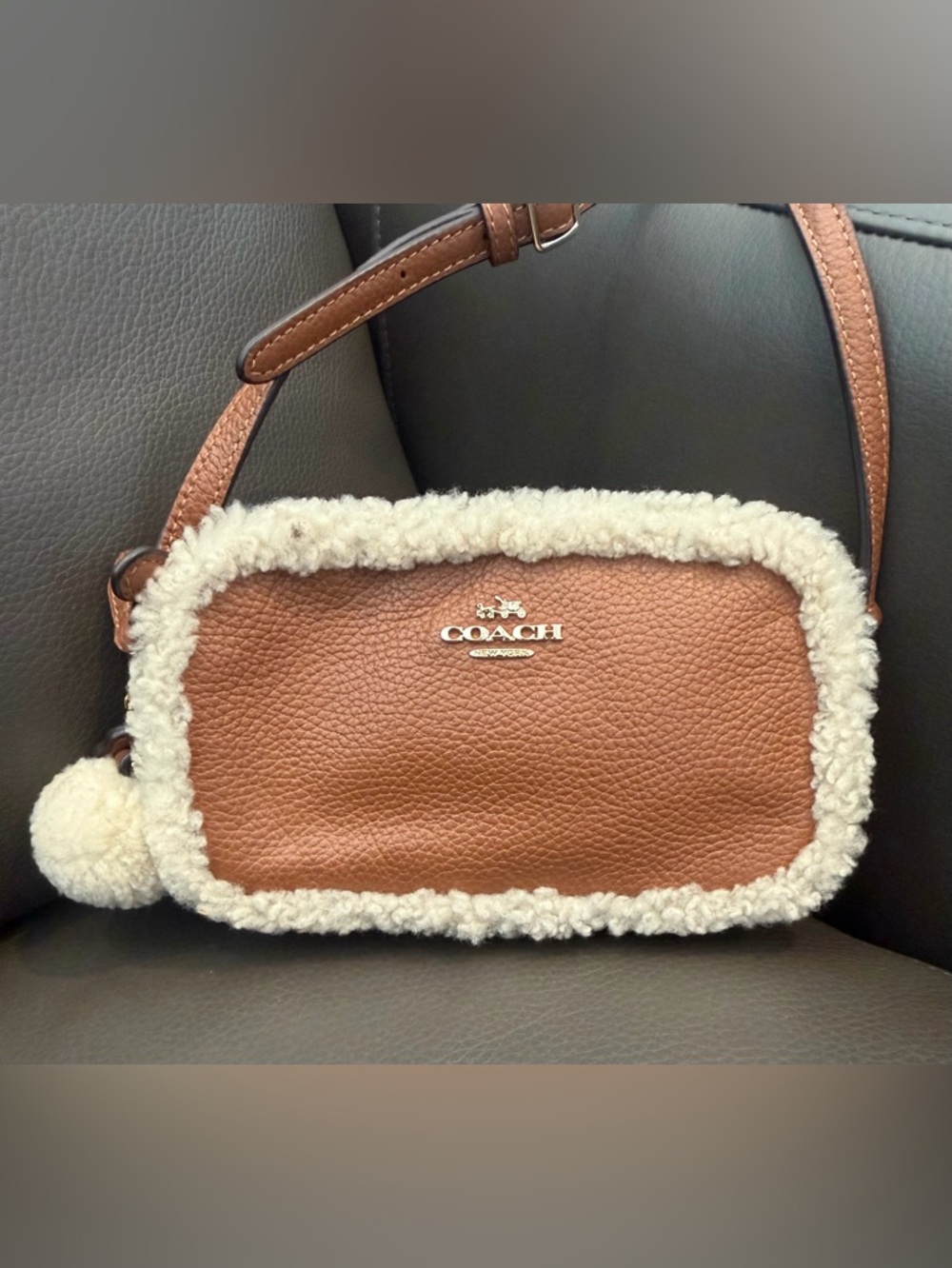 Coach Pebble Shearling Crossbody Mini Bag
